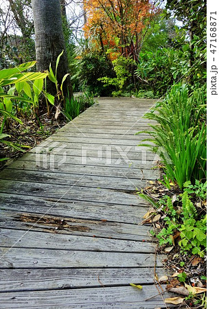 板張りの小路 素材 背景 板張りの小路 素材 背景 47168871