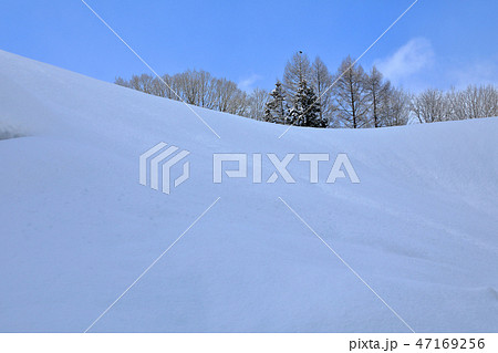 雪晴れの眺め・たっぷりの積雪と樹林 福島県只見町 雪晴れの眺め・たっぷりの積雪と樹林 福島県只見町 47169256