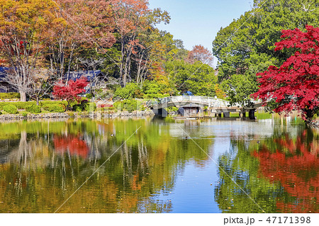 【東京都】紅葉まつりの東京都指定名勝・薬師池公園 新東京百景・日本の歴史公園100選 【東京都】紅葉まつりの東京都指定名勝・薬師池公園 新東京百景・日本の歴史公園100選 47171398