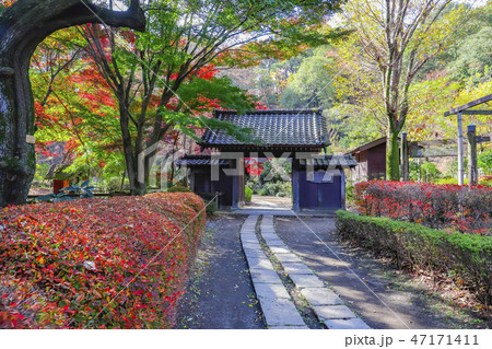 【東京都】紅葉まつりの東京都指定名勝・薬師池公園・旧荻野家の門 【東京都】紅葉まつりの東京都指定名勝・薬師池公園・旧荻野家の門 47171411