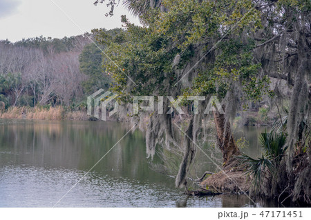 Shoreline Kathryn Abbey Hanna Park, Jacksonville  47171451