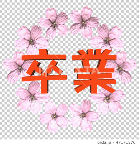 3d桜フレームと 卒業 文字のイラスト素材