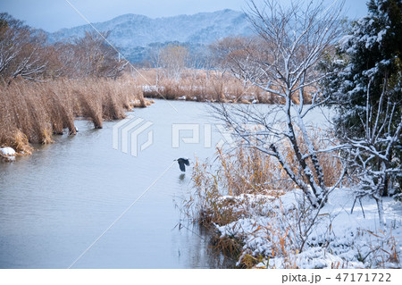 近江八幡 雪景色 近江八幡 雪景色 47171722