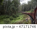 Train Sri Lanka 47171746