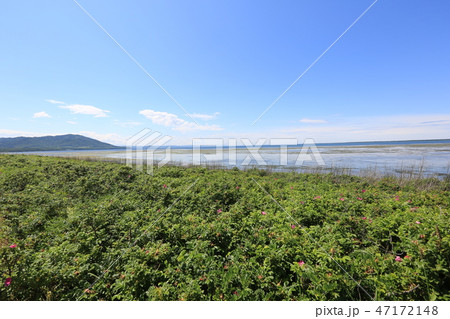 サロマ湖・キムアネップ岬（夏） 47172148