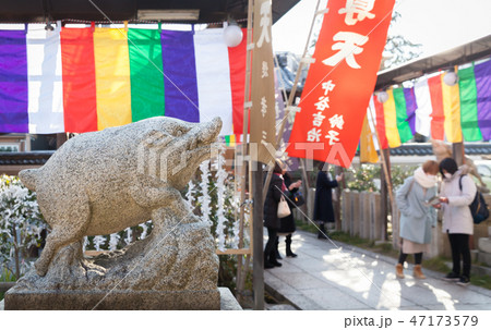 禅居庵 摩利支尊天堂の狛猪 禅居庵 摩利支尊天堂の狛猪 47173579