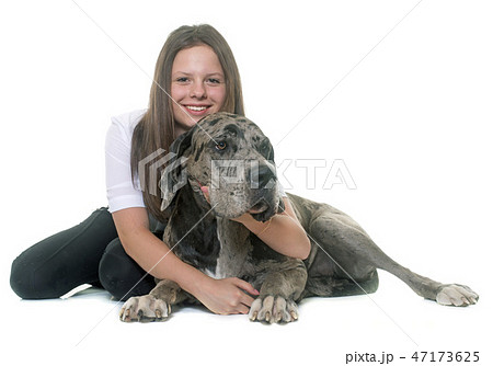 Great Dane and teenager Great Dane and teenager 47173625