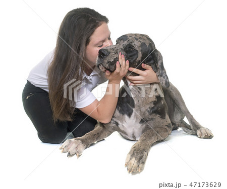 Great Dane and teenager Great Dane and teenager 47173629