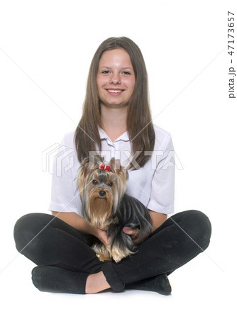 young yorkshire terrier and teen young yorkshire terrier and teen 47173657