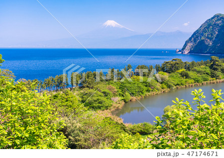 （静岡県）新緑の西伊豆井田　海越しの富士山 47174671