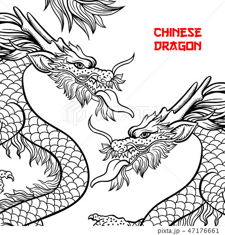Two Chinese Dragons Hand Drawn Contour のイラスト素材