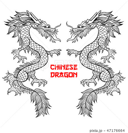 Two Chinese Dragons Hand Drawn Contour のイラスト素材