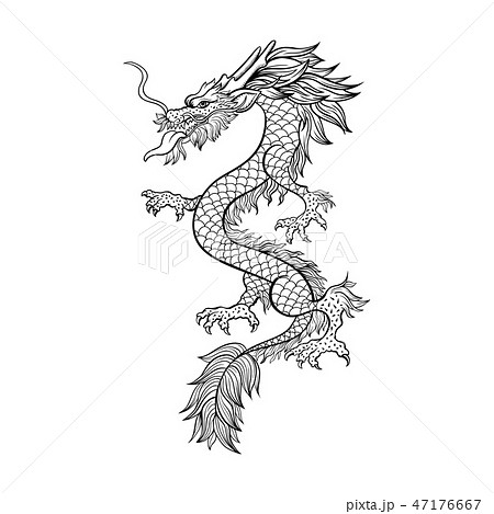 Chinese Dragon Hand Drawn Contour Illustrationのイラスト素材