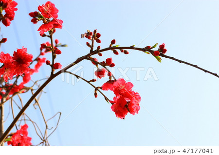 風景 観光 風 47177041