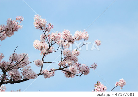 風景 観光 風 47177081