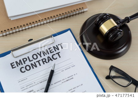 employment law  job legal education 47177541