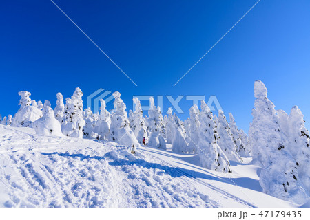 阿仁の樹氷 阿仁の樹氷 47179435