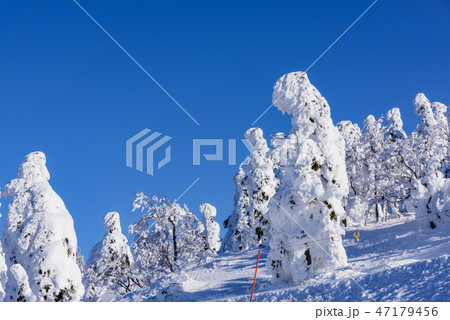 阿仁の樹氷 阿仁の樹氷 47179456