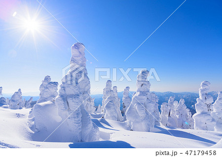 阿仁の樹氷 47179458