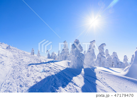 阿仁の樹氷 47179470