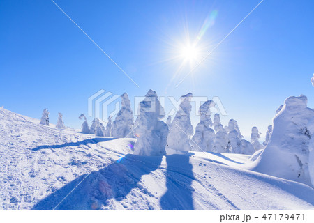 阿仁の樹氷 阿仁の樹氷 47179471