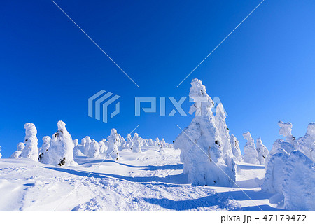 阿仁の樹氷 阿仁の樹氷 47179472