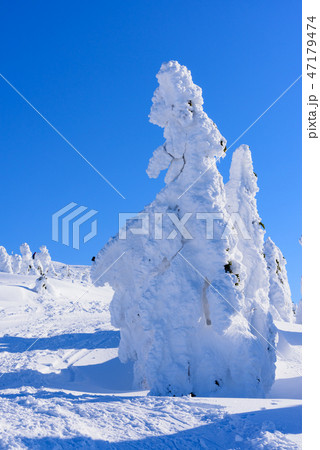 阿仁の樹氷 47179474