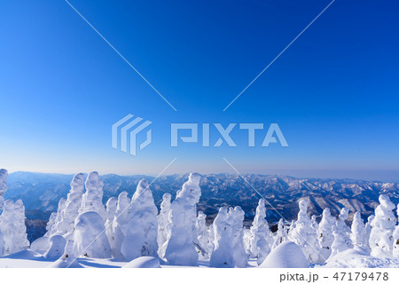 阿仁の樹氷 47179478