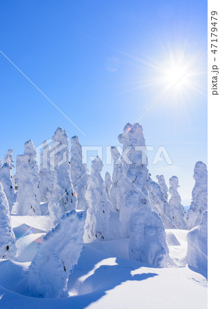 阿仁の樹氷 阿仁の樹氷 47179479