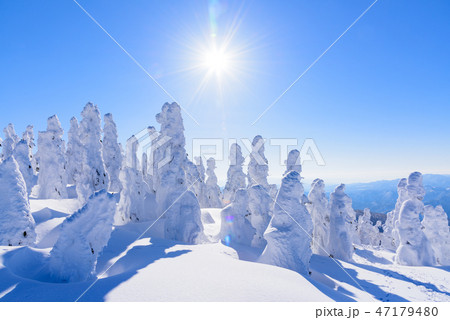 阿仁の樹氷 阿仁の樹氷 47179480