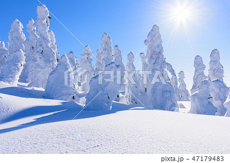 阿仁の樹氷 阿仁の樹氷 47179483