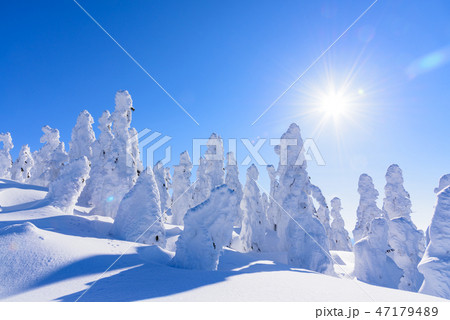 阿仁の樹氷 阿仁の樹氷 47179489