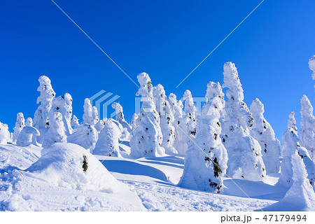 阿仁の樹氷 阿仁の樹氷 47179494