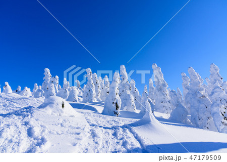 阿仁の樹氷 47179509