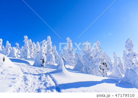 阿仁の樹氷 阿仁の樹氷 47179510
