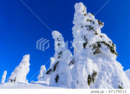 阿仁の樹氷 阿仁の樹氷 47179511