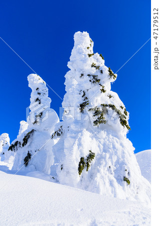 阿仁の樹氷 47179512
