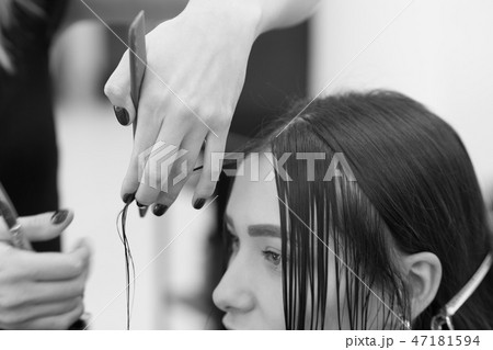 The hairdresser does a haircut of hair to a woman, a brunette in a beauty salon. 47181594