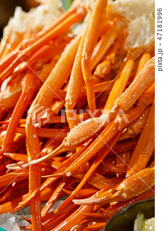 紅ズワイガニ 紅ズワイガニ 47181996