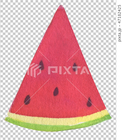 Watercolor hand drawn watermelon 47182425