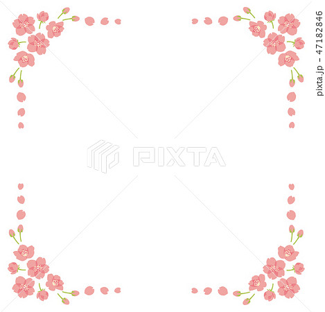 桜 フレーム 四角のイラスト素材
