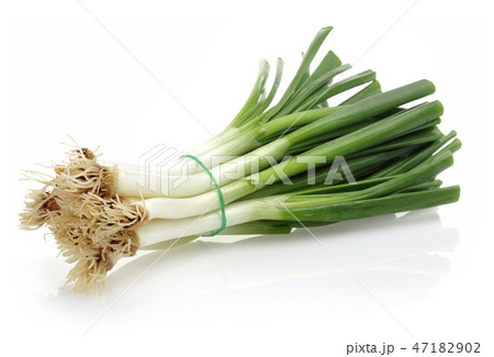 Bunch of fresh spring onion Bunch of fresh spring onion 47182902