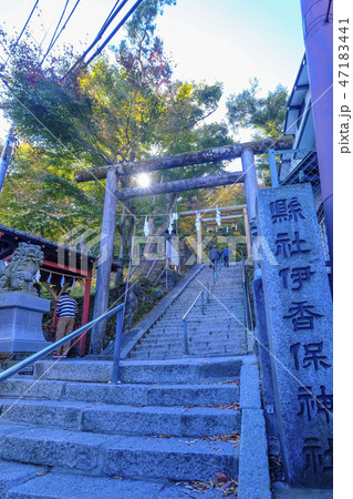 伊香保神社石段(縦) 伊香保神社石段(縦) 47183441
