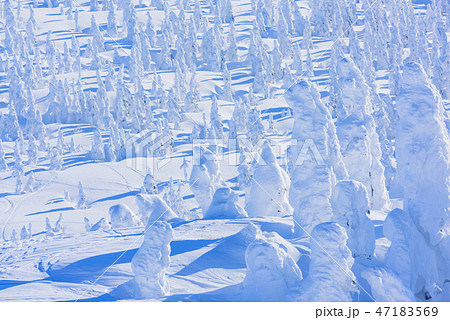 阿仁の樹氷 47183569