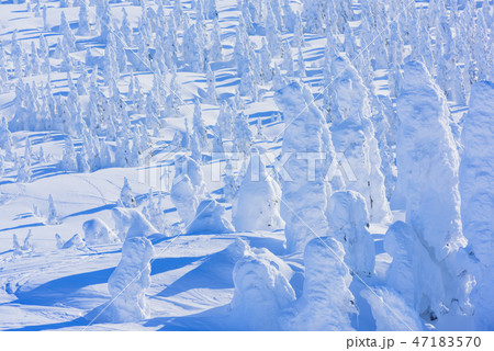 阿仁の樹氷 47183570