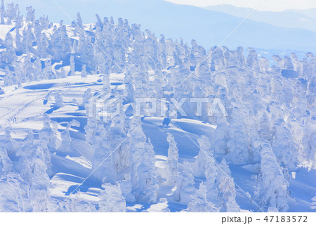 阿仁の樹氷 阿仁の樹氷 47183572