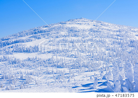 阿仁の樹氷 阿仁の樹氷 47183575