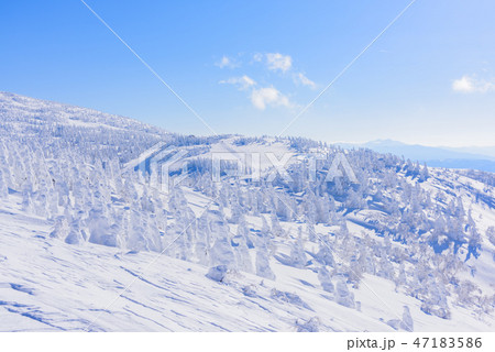 阿仁の樹氷 47183586