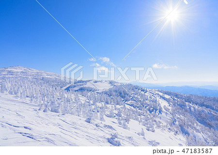 阿仁の樹氷 47183587