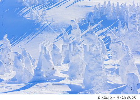 阿仁の樹氷 47183650